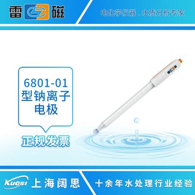 6801/6801-01型鈉電極 鈉離子電極